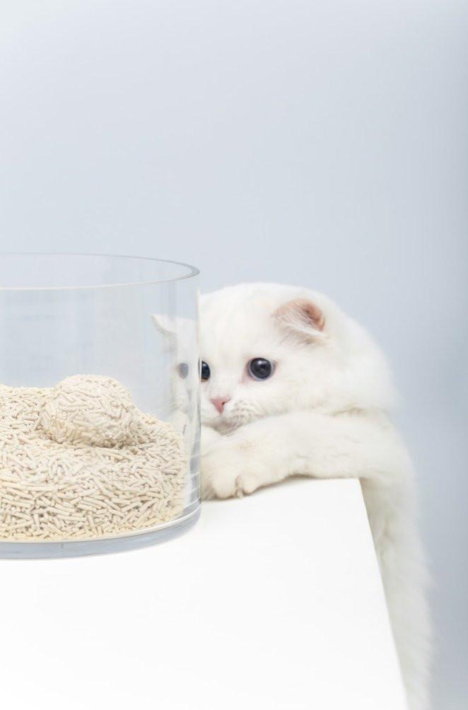 Gen3 6L Dust-Free and Natural Clumping Tofu Cat Litter - Original ...