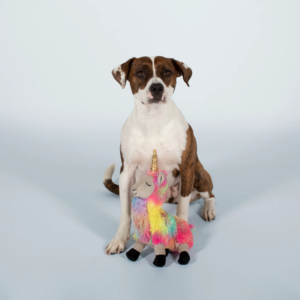Plush Squeaker Dog Toy - Aurora the Llamacorn