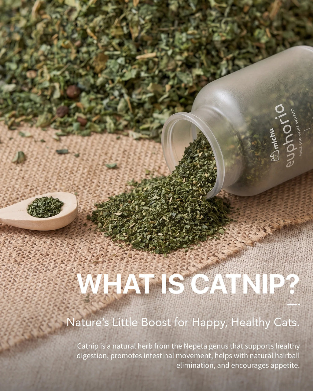 Euphoria Dried Catnip Flakes for Cats 100ml | Natural Catnip & Cat Fibre Supplement