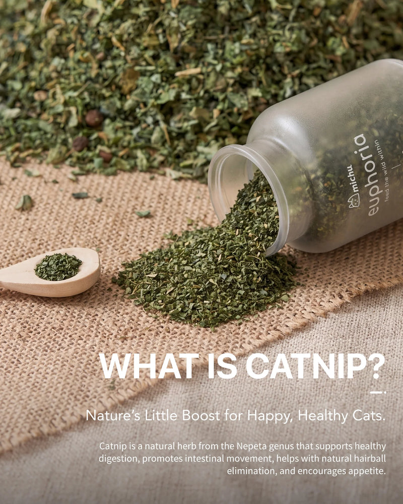 Euphoria Dried Catnip Flakes for Cats 100ml | Natural Catnip & Cat Fibre Supplement