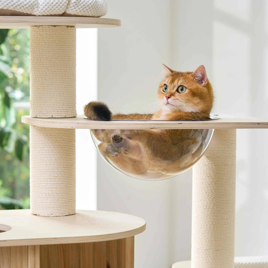 Lumi Multi-Layer Solid Wood Cat Nest Tree