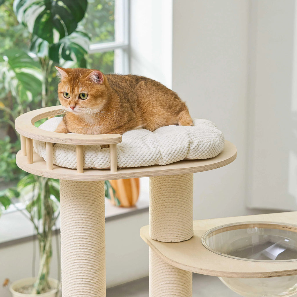 Lumi Multi-Layer Solid Wood Cat Nest Tree