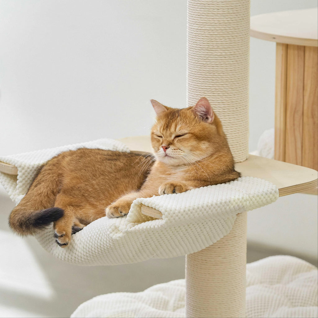 Lumi Multi-Layer Solid Wood Cat Nest Tree