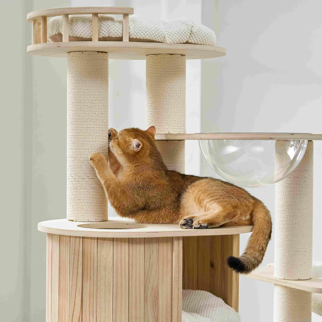 Lumi Multi-Layer Solid Wood Cat Nest Tree
