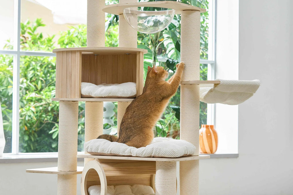Lumi Multi-Layer Solid Wood Cat Nest Tree