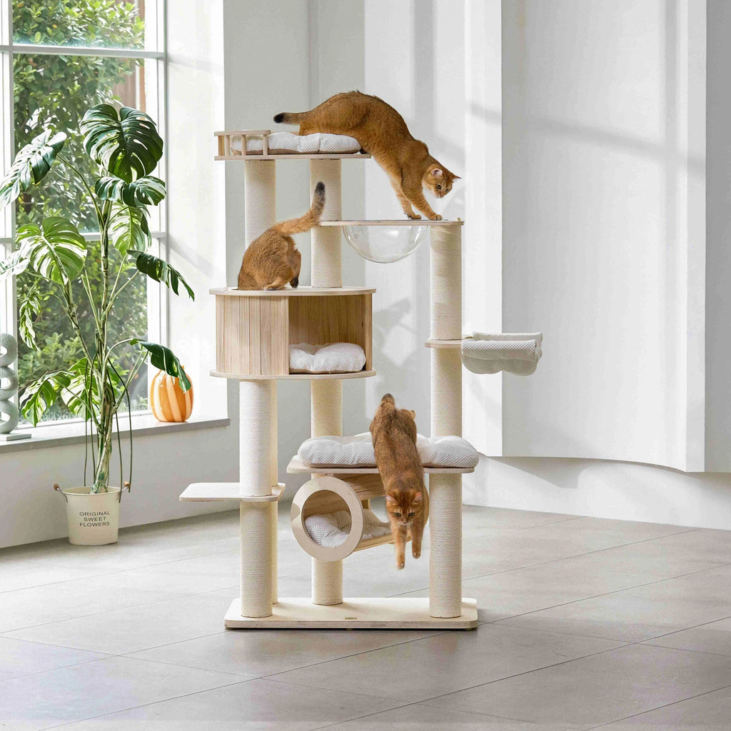 Lumi Multi-Layer Solid Wood Cat Nest Tree