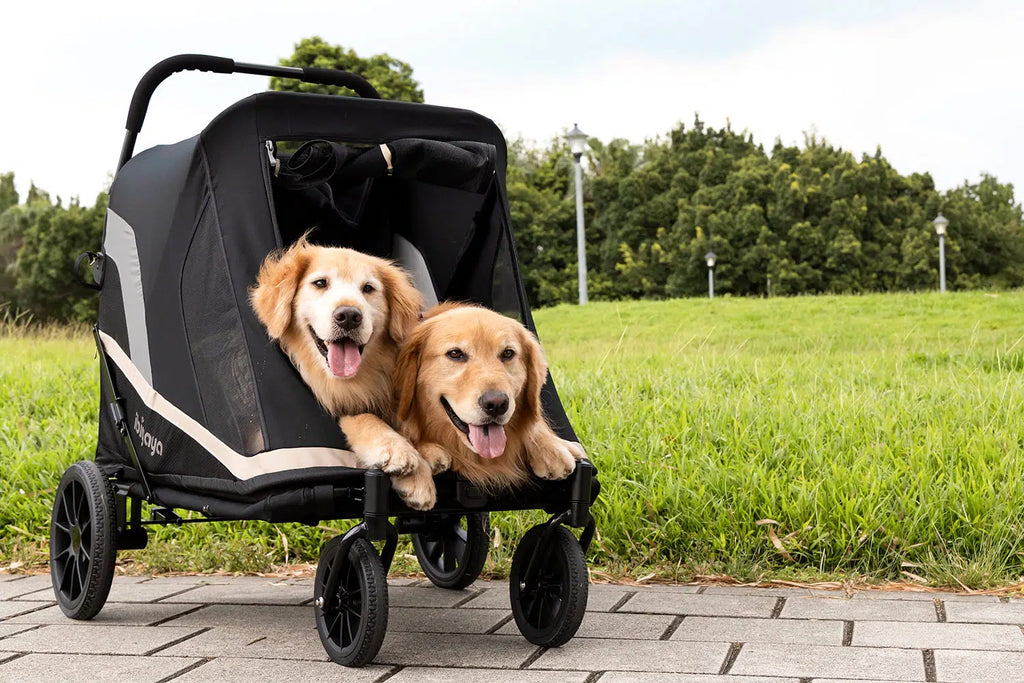 Grand Cruiser Large Dog Stroller, 4-Wheel Foldable Big Dog Pram for Large Breeds, Elderly & Injured Pets