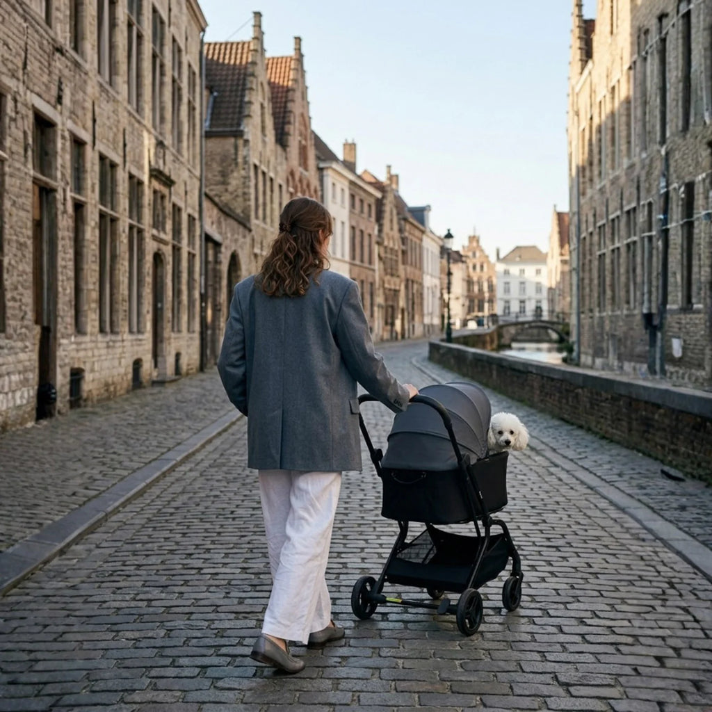 HUE-GO Detachable Pet Stroller & Capsule - Stone Grey