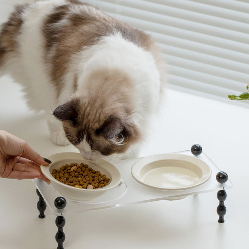 La Belle Raised Cat & Dog Bowl in Brown