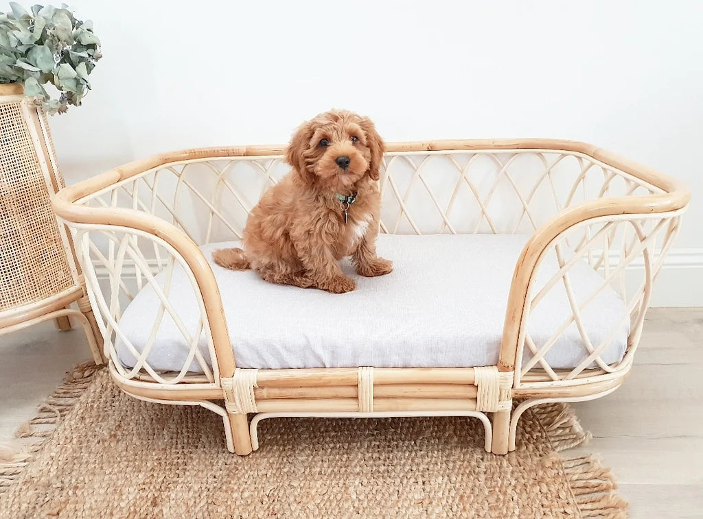 Bella Rattan Dog Bed (2 Sizes)