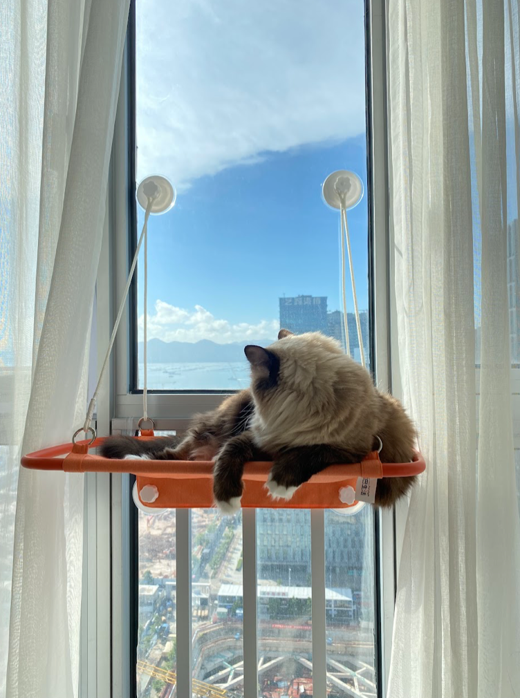 Cat Window Perch, Cat Hammock Window Seat - Purple