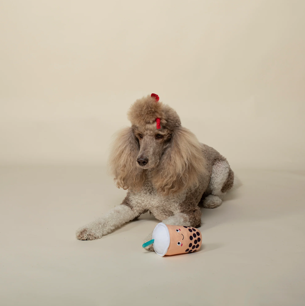 Plush Squeaker Dog Toy - It's Boba Time