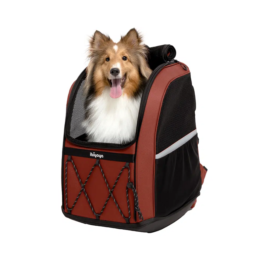 Champion Large Dog Carrier Backpack 3-in-1 Travel Backpack, Dog Suitcase with Wheels & Car Seat Booster - Maroon