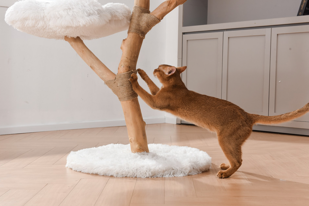 Fluffy Blossom Real Wood Cat Tree XL - White