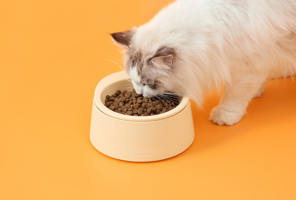 Ceramic Bowl for Cats and Dogs in Barley White