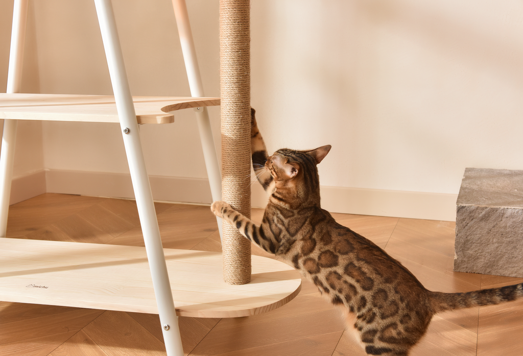 YoYo Tower - The Ultimate Multi-Functional Cat Furniture for Dynamic Feline Leaping