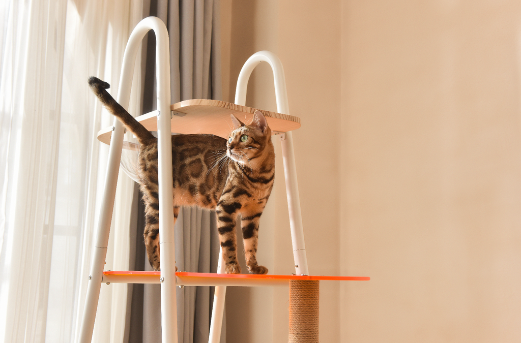 YoYo Tower - The Ultimate Multi-Functional Cat Furniture for Dynamic Feline Leaping