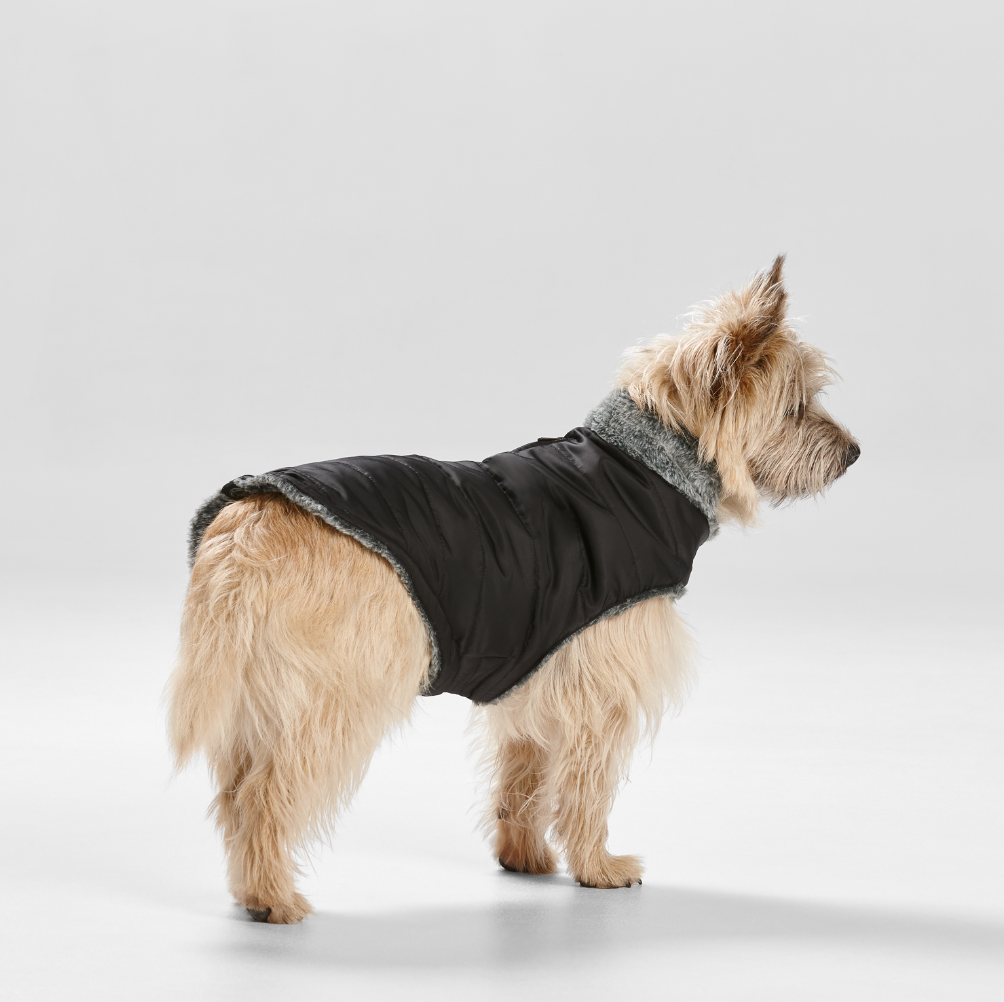 Puffer Dog Coat with Fur Collar in Black