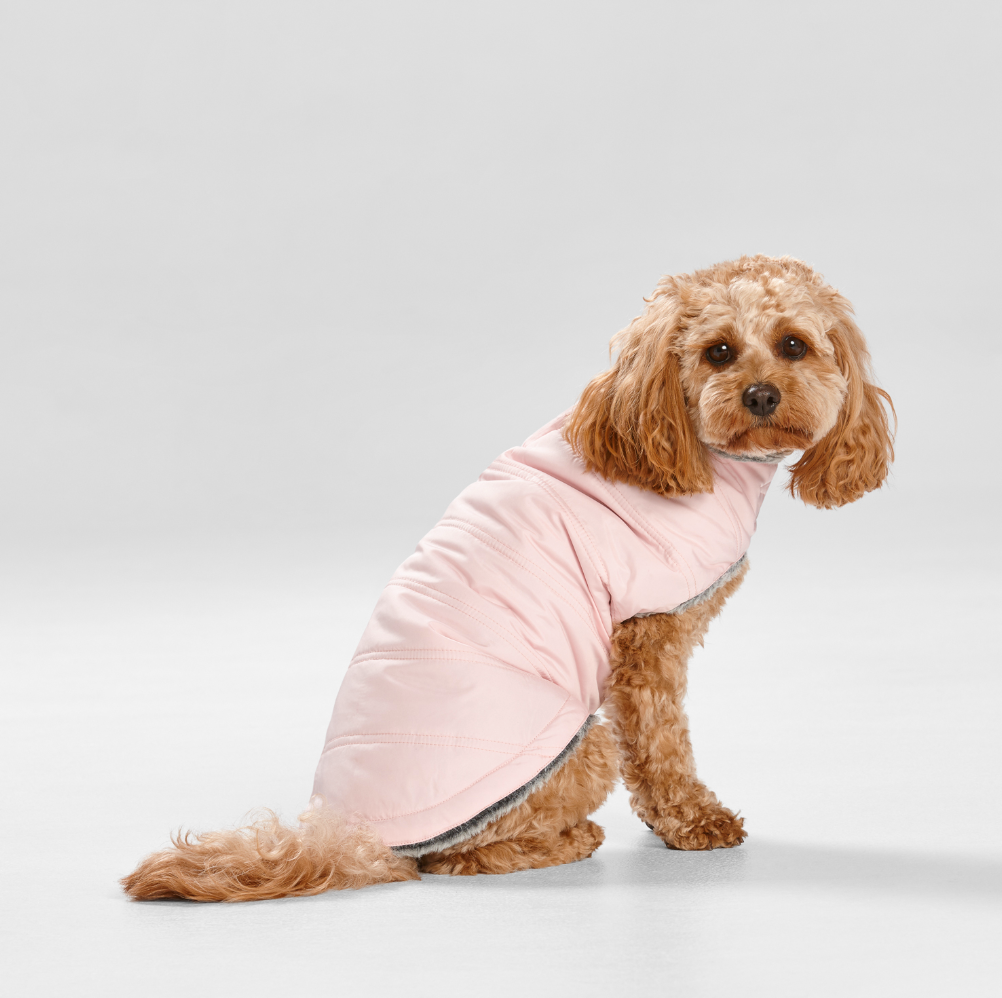 Puffer Dog Coat in Pink