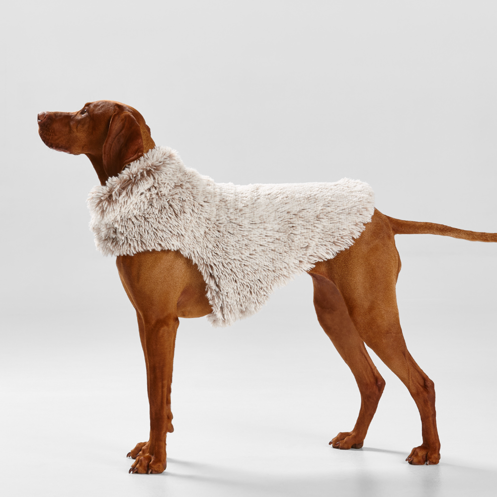 Shag Faux Fur Dog Coat in Mink