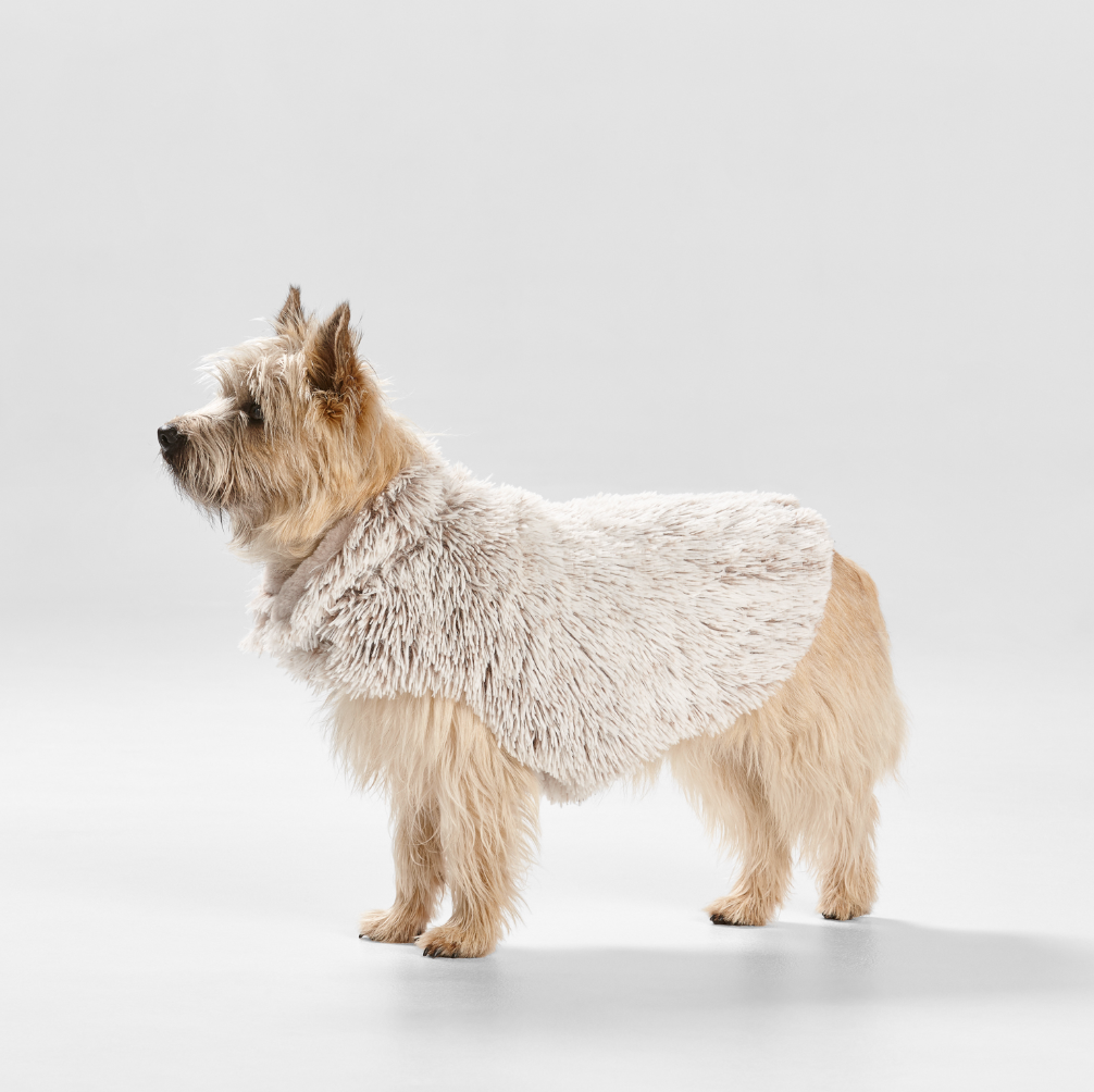 Shag Faux Fur Dog Coat in Mink