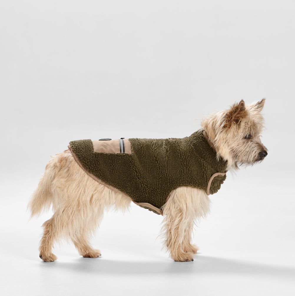 Teddy Dog Coat with Pocket in Khaki/Fawn