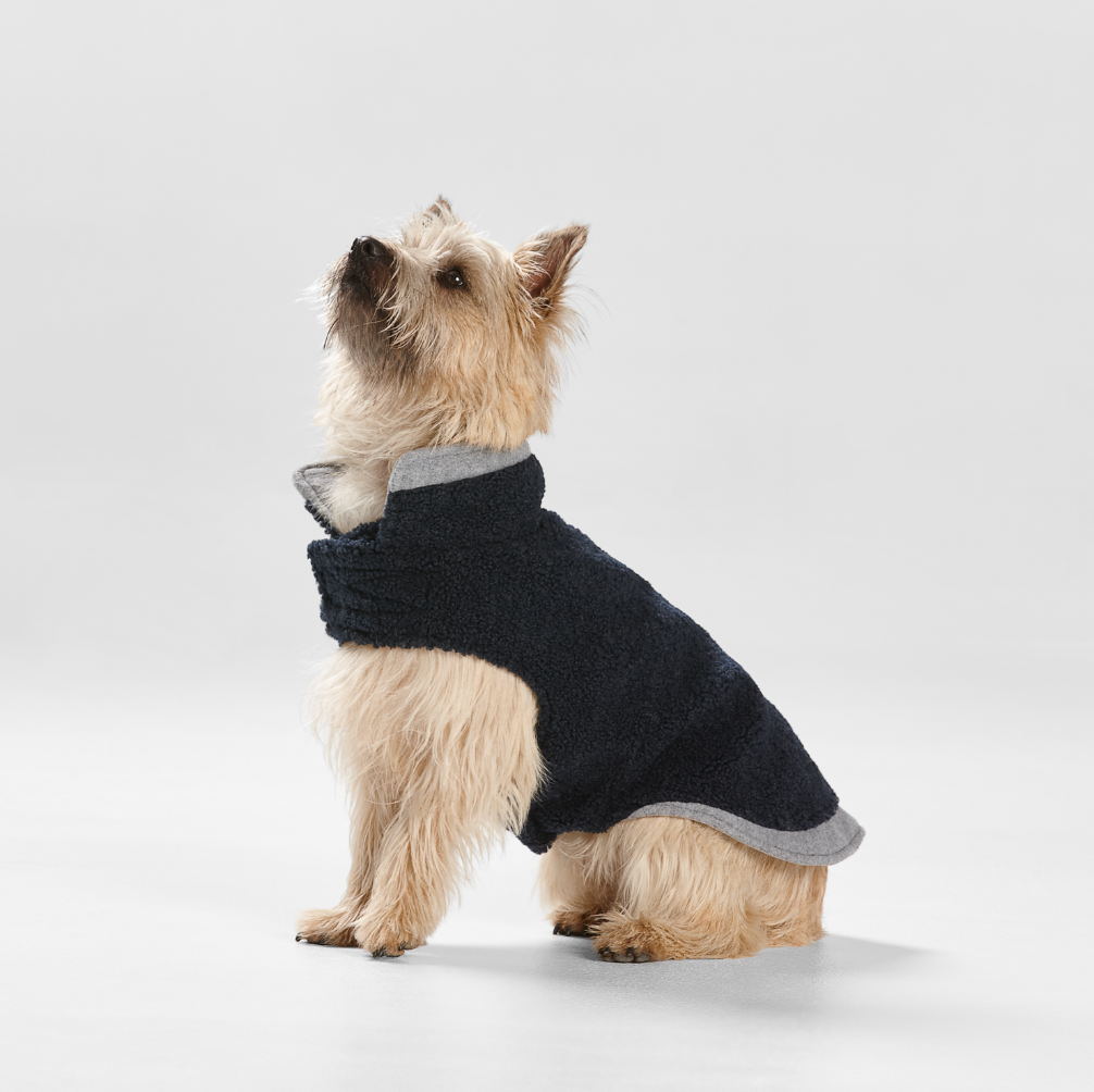 Teddy Dog Coat with Double Collar and Hem in Navy/Grey