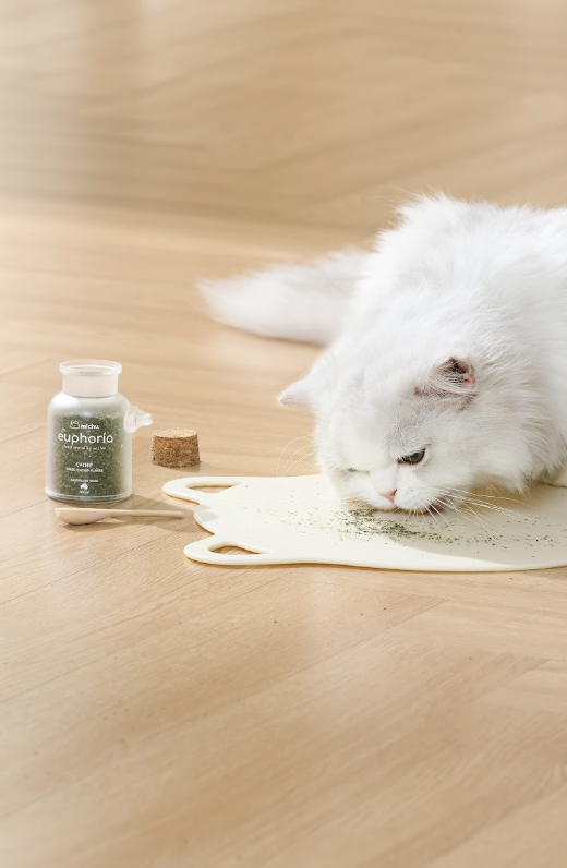 Euphoria Dried Catnip Flakes for Cats 100ml | Natural Catnip & Cat Fibre Supplement