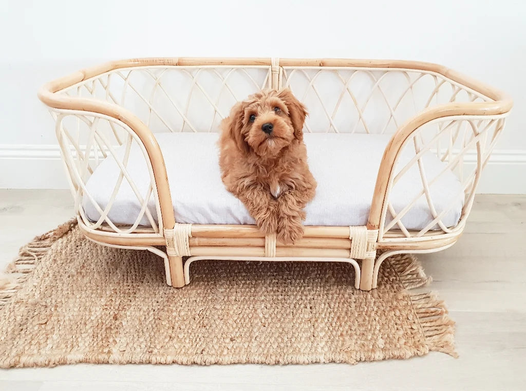 Bella Rattan Dog Bed (2 Sizes)