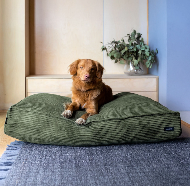 The Loft Dog Bed - Pine