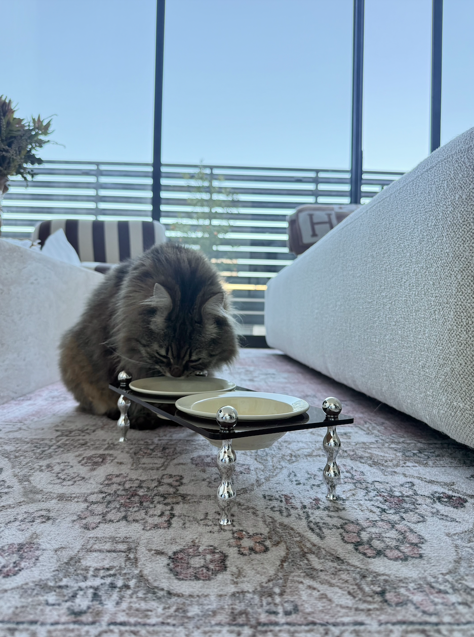 A fluffy gray tabby cat is eating from a dual-bowl pet feeder placed on a patterned rug in a modern living room with a sofa and large windows in the background.