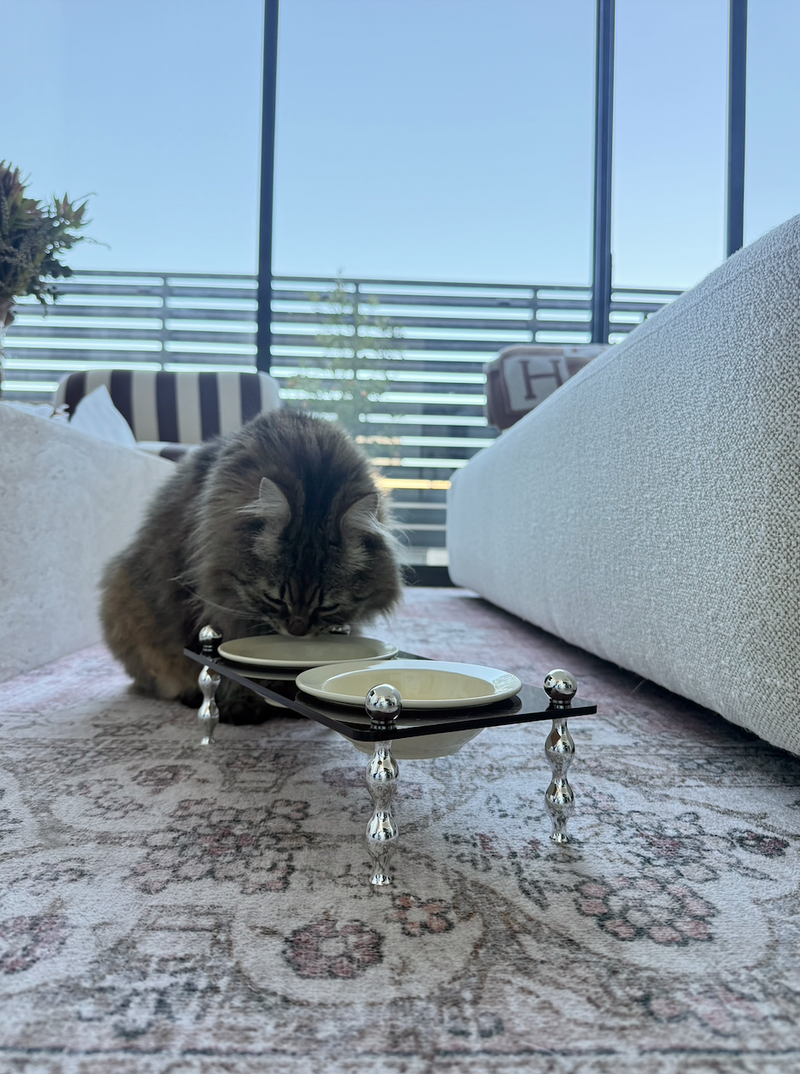 A fluffy gray tabby cat is eating from a dual-bowl pet feeder placed on a patterned rug in a modern living room with a sofa and large windows in the background.