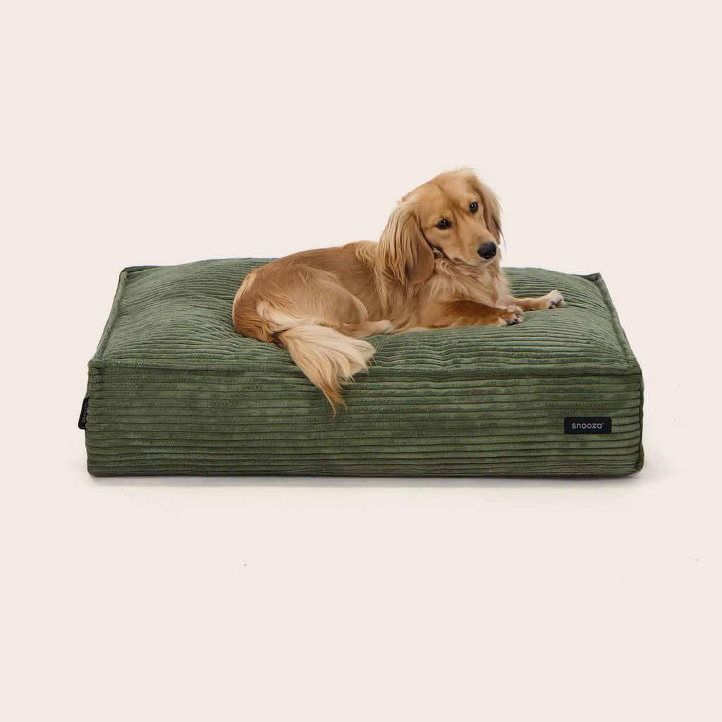 The Loft Dog Bed - Pine