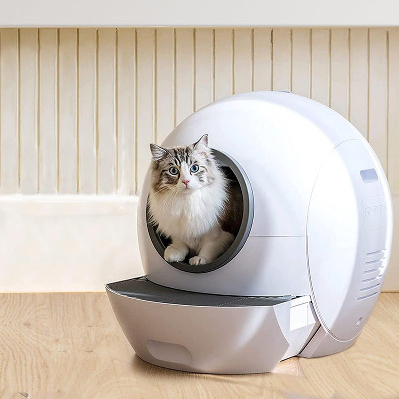 Cat inside an automatic self-cleaning litter box relevant to Nuvopet smart litter products