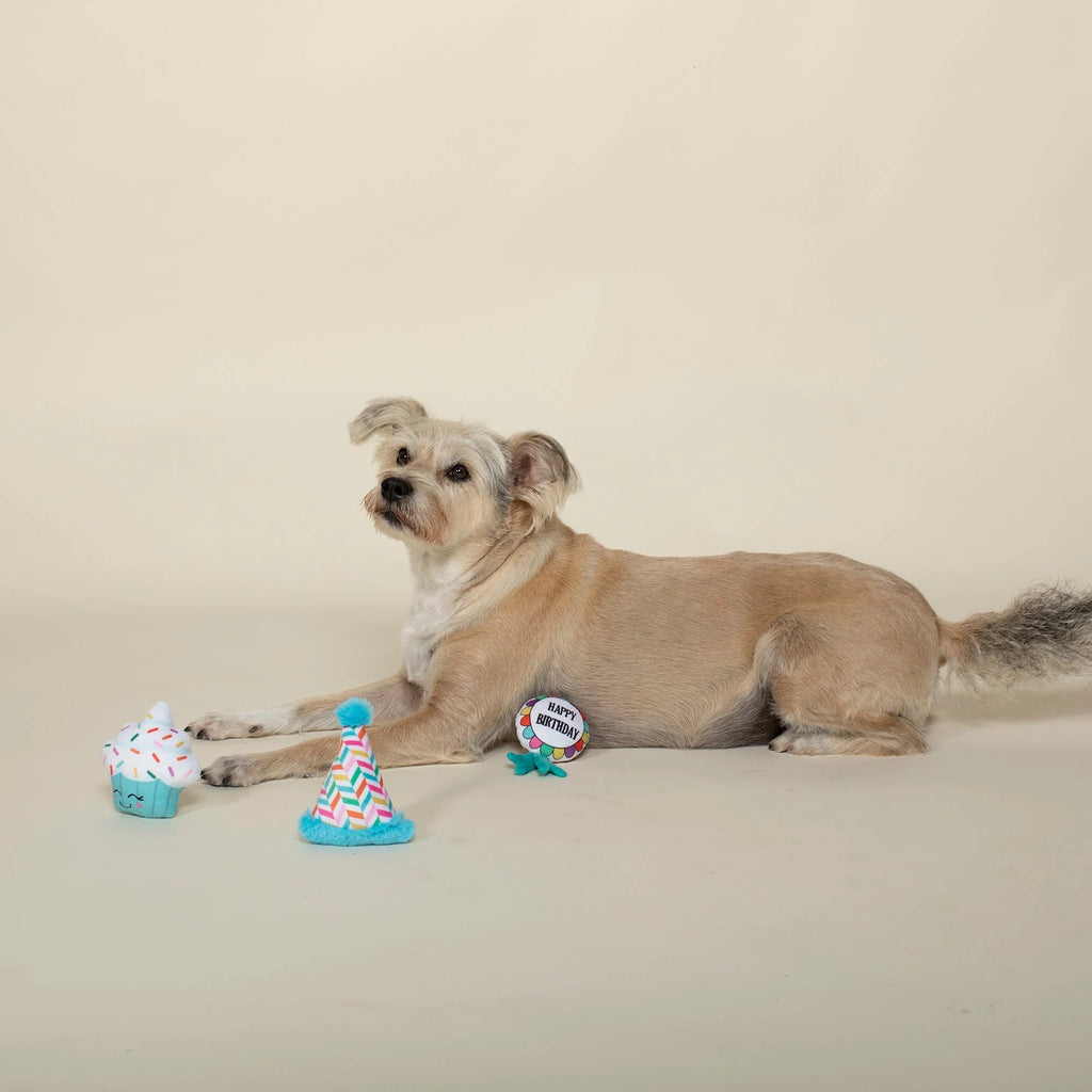 Bark - Day! Mini Dog Toy Set - House Of Pets Delight (HOPD)