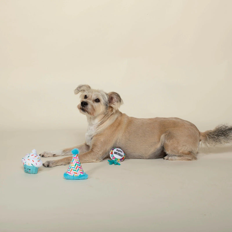Bark - Day! Mini Dog Toy Set - House Of Pets Delight (HOPD)