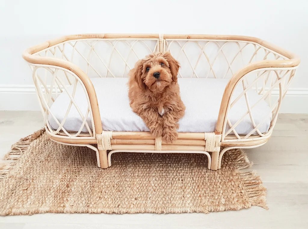 Cozy Bella Rattan Dog Bed – Comfort Meets Style