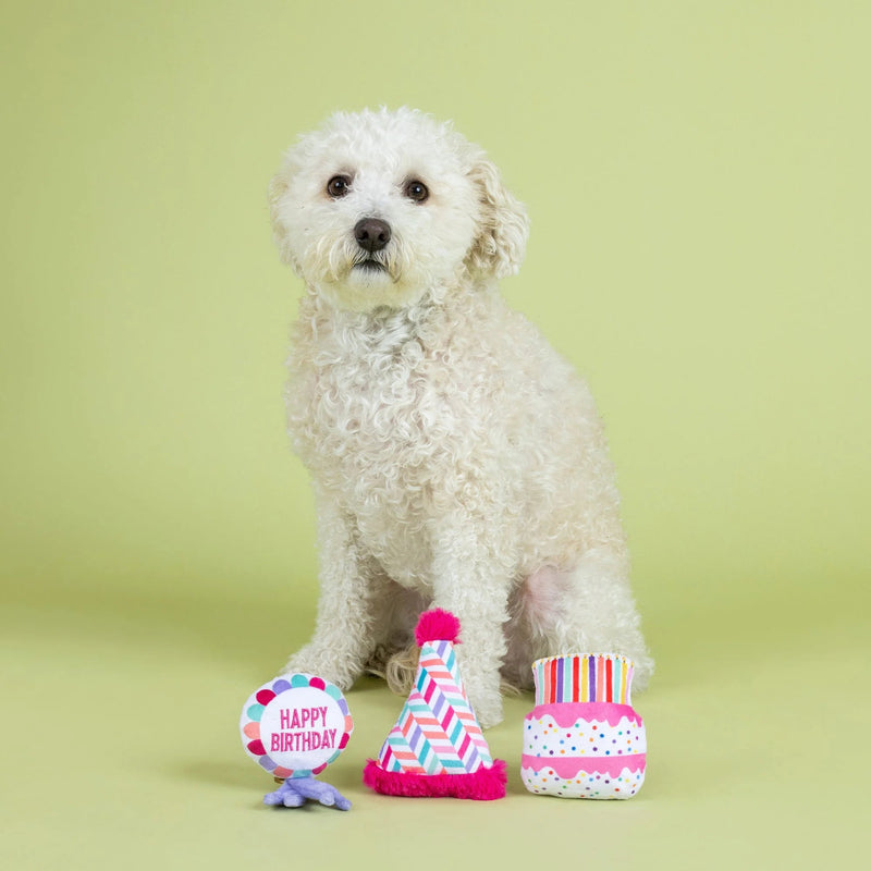 Can I Get A Woof - Woof! Mini Toy Set - House Of Pets Delight (HOPD)