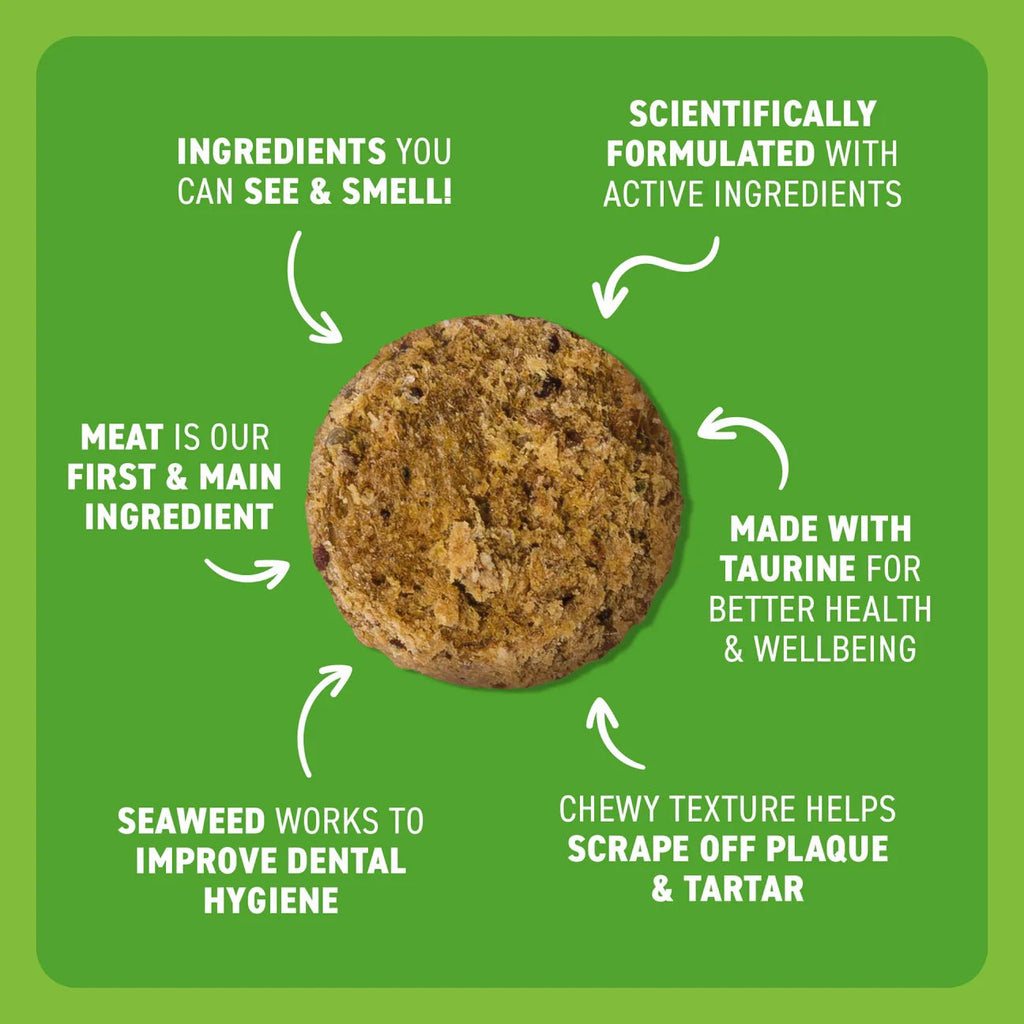 Cat Dental Bites Chicken Blueberry 80G - House Of Pets Delight (HOPD)