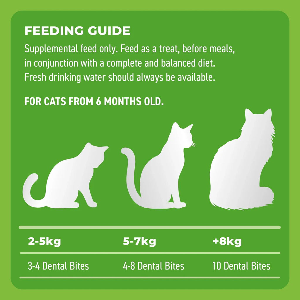 Cat Dental Bites Chicken Blueberry 80G - House Of Pets Delight (HOPD)