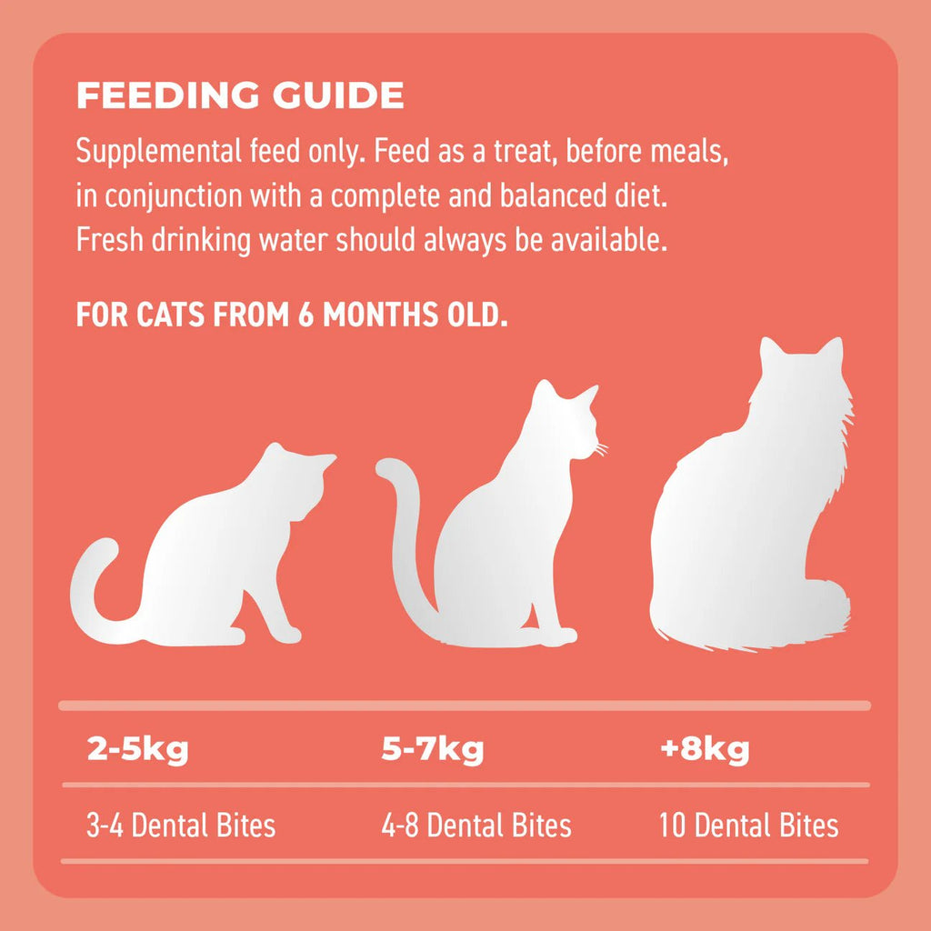 Cat Dental Bites Salmon Charcoal 80G - House Of Pets Delight (HOPD)