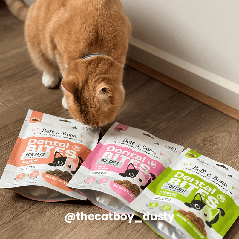 Cat Dental Bites Tuna Spirulina 80G - House Of Pets Delight (HOPD)