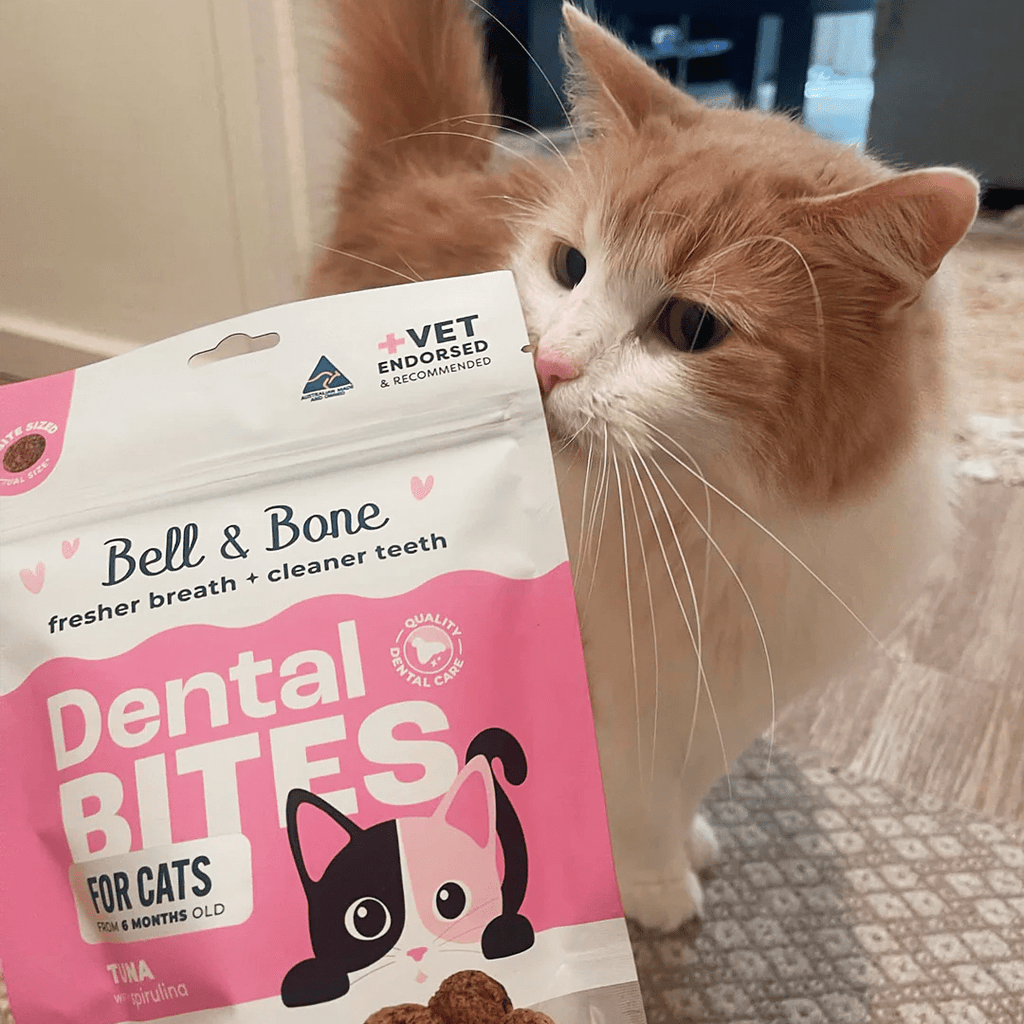 Cat Dental Bites Tuna Spirulina 80G - House Of Pets Delight (HOPD)