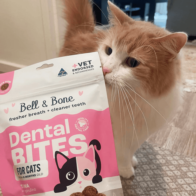 Cat Dental Bites Tuna Spirulina 80G - House Of Pets Delight (HOPD)