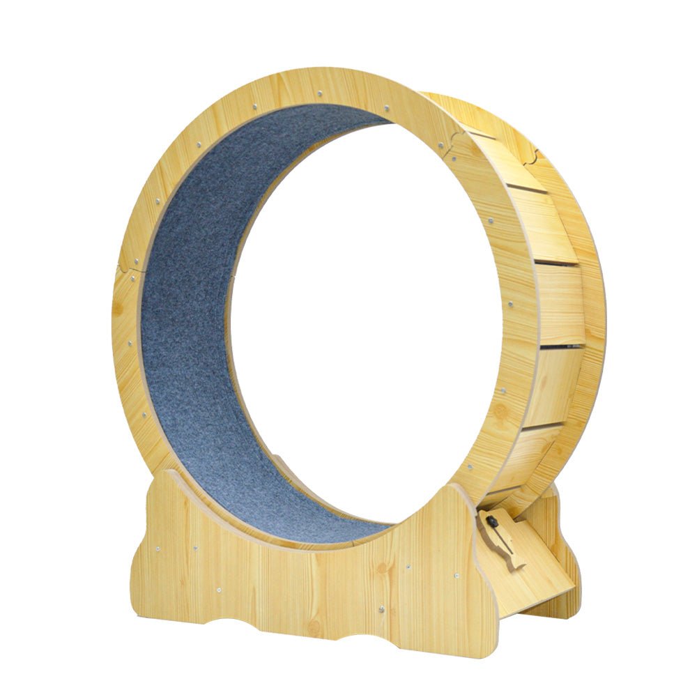 Cat Exercise Wheel Running Treadmill - >4kg Cats - House Of Pets Delight (HOPD)