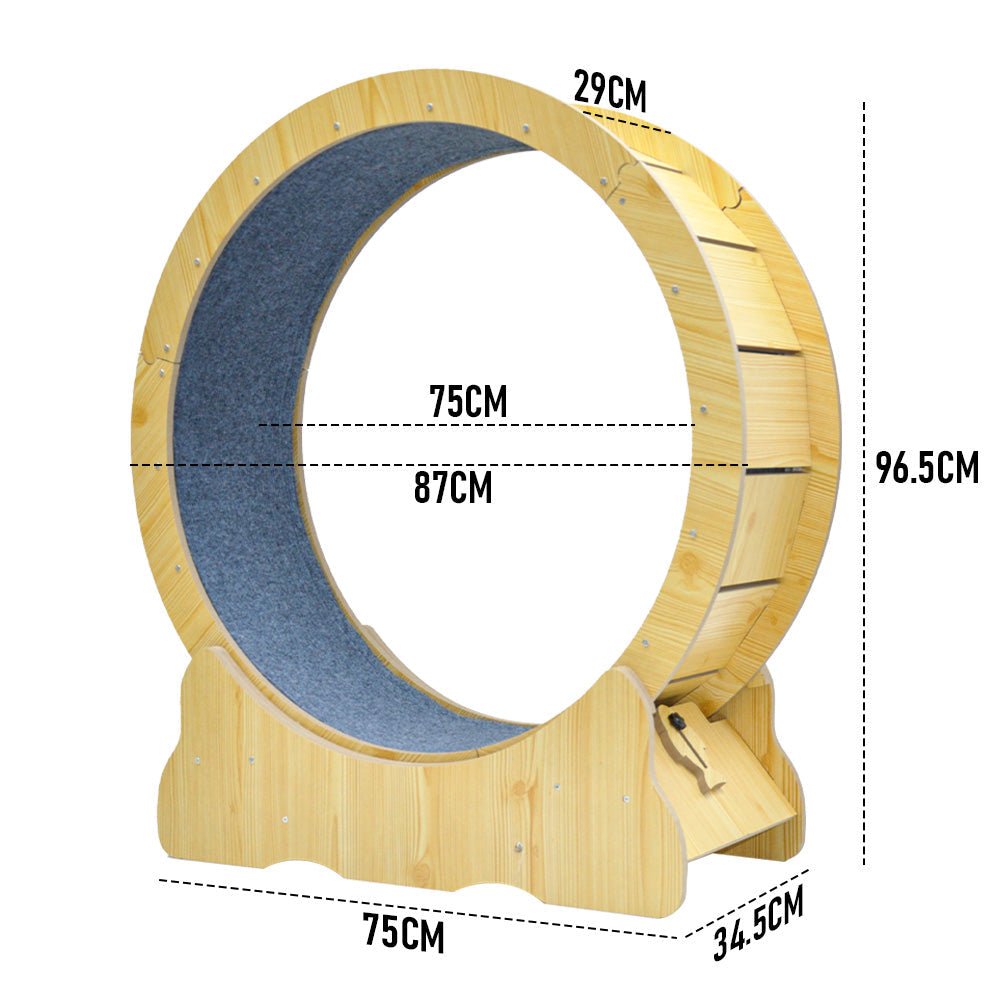 Cat Exercise Wheel Running Treadmill - >4kg Cats - House Of Pets Delight (HOPD)