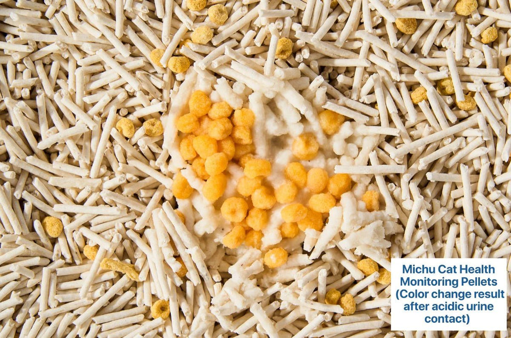 Cat Health Monitoring Pellets - Colour Changing Indicators For Home Urine Testing - House Of Pets Delight (HOPD)