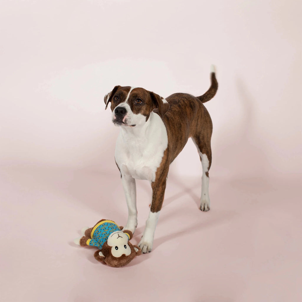 Coco Bananas Dog Toy - House Of Pets Delight (HOPD)