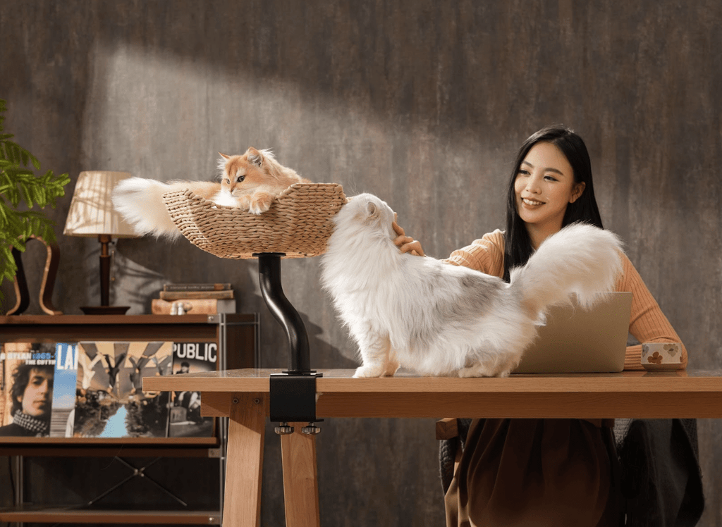 DeskMate Sustainable Desk - Mounted Side Companion Cat Tree - White - House Of Pets Delight (HOPD)