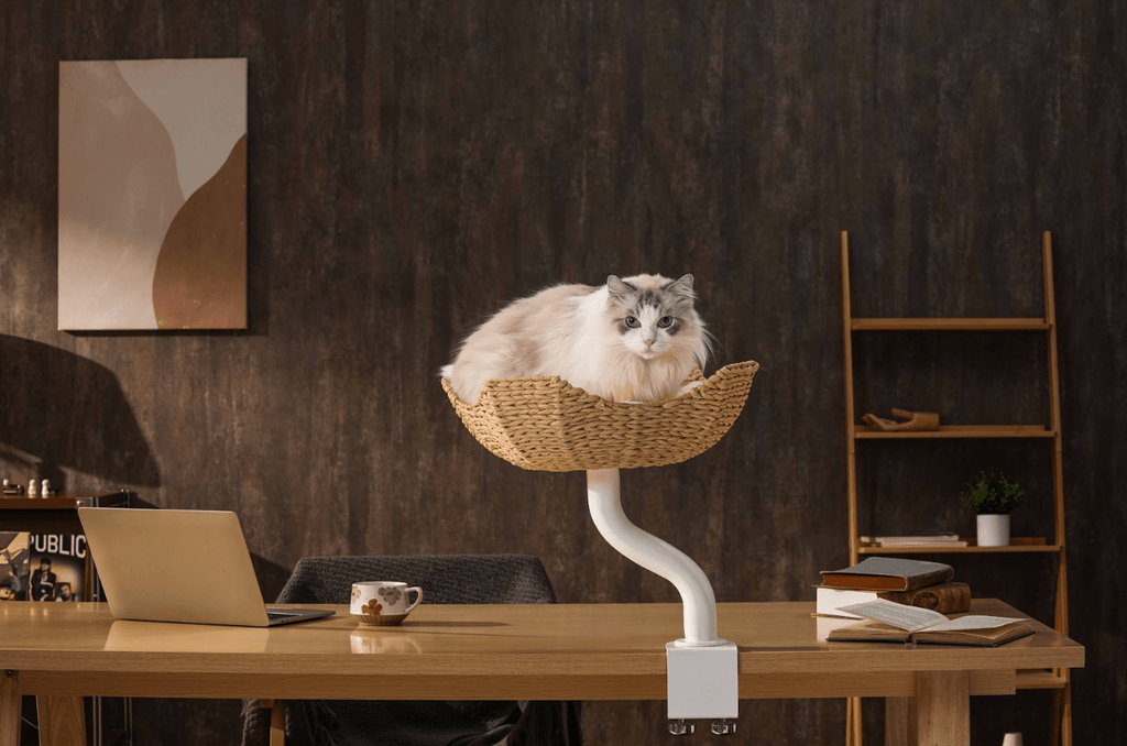 DeskMate Sustainable Desk - Mounted Side Companion Cat Tree - White - House Of Pets Delight (HOPD)